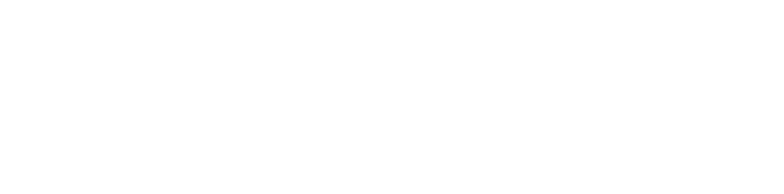 ysjf logo W BLgEQy74